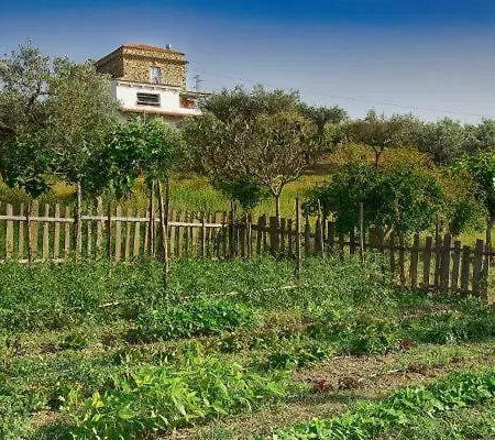 Paradiso A Poca Distanza Dal Mare * Agropoli